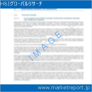 市場と産業調査レポートのイメージ